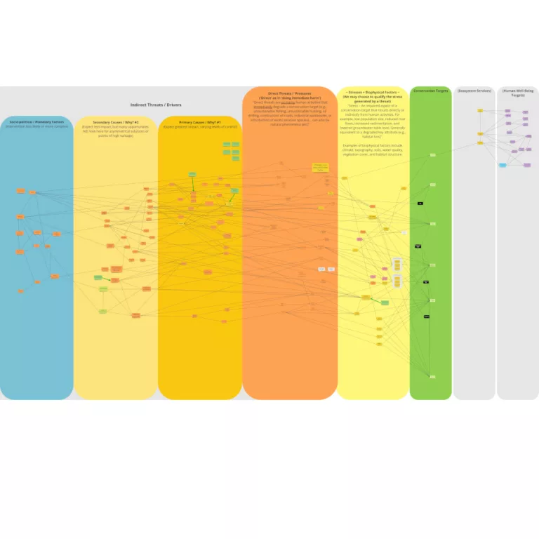 Situational Analysis - collaborative online